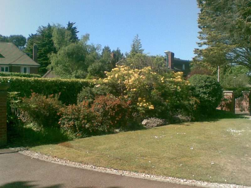 Garden Maintenance whats included?