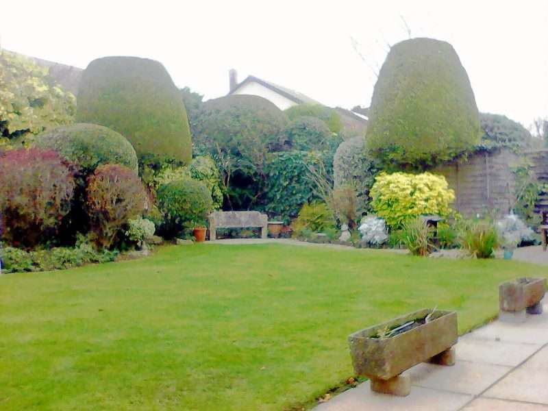 Hedge trimming services Dorset