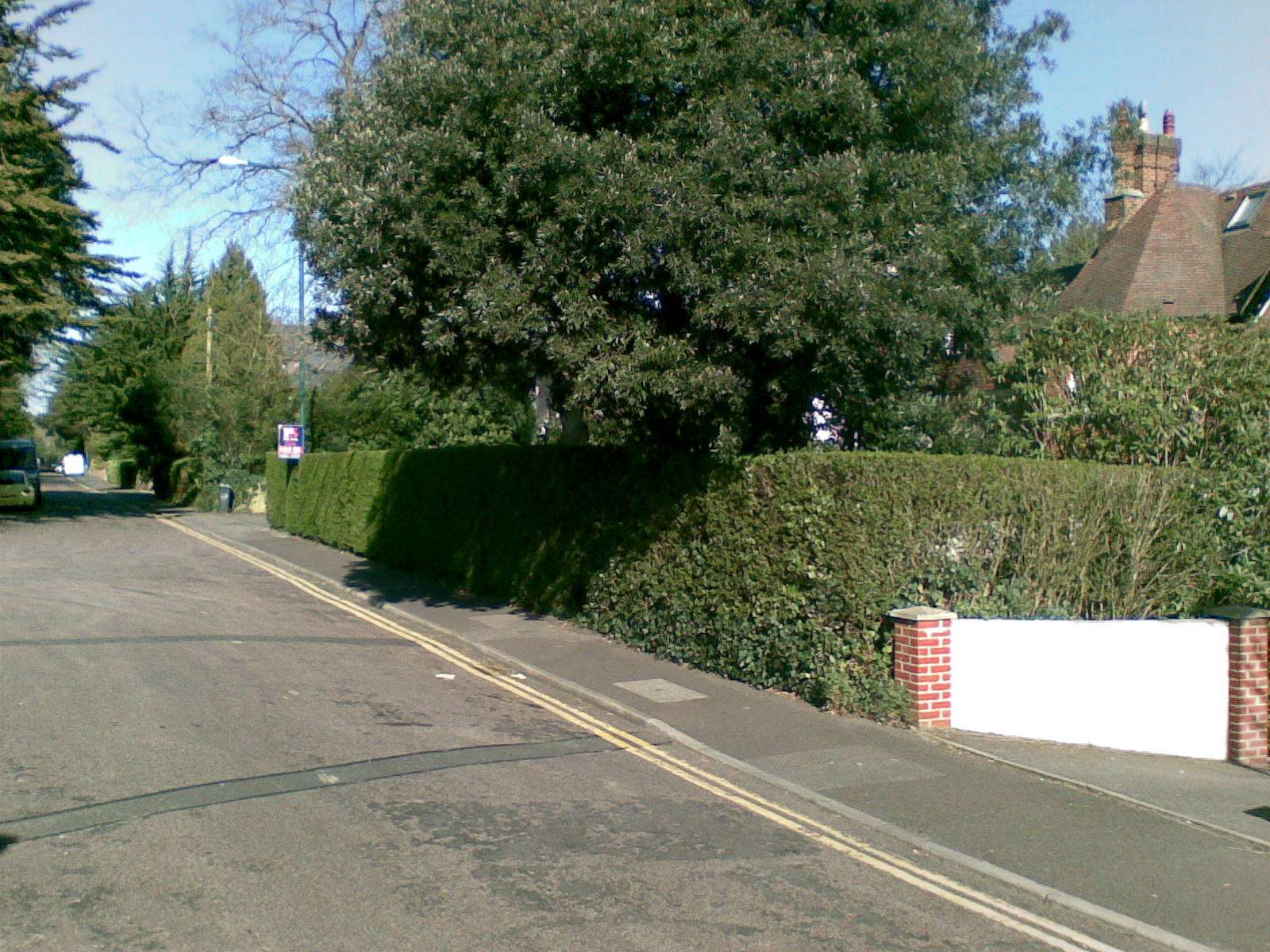 Hedge cutting & garden maintenance